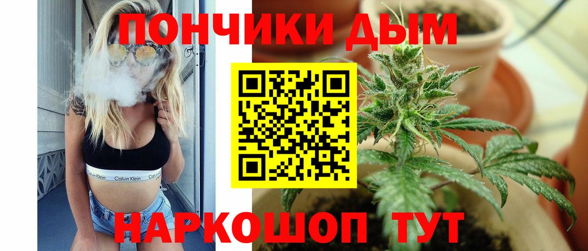 Шишки марихуана ГИДРОПОН Гай